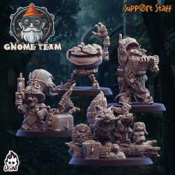 Support Staff for Gnomes Team - Steampunk