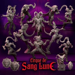 Equipe Complete d'Elfes Noirs - Cirque de Sang Lune