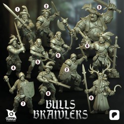 Mercenaire Bulls Brawlers